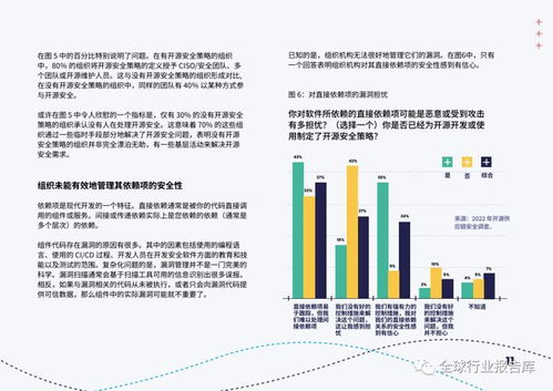 開源軟件安全 應(yīng)對(duì)網(wǎng)絡(luò)安全挑戰(zhàn)的開發(fā)實(shí)踐與策略